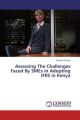 Assessing The Challenges Faced By SMEs in Adopting IFRS in Kenya