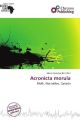 Acronicta morula
