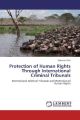 Protection of Human Rights Through International Criminal Tribunals