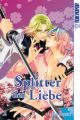 Splitter der Liebe. Bd.2