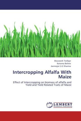 Intercropping Alfalfa With Maize