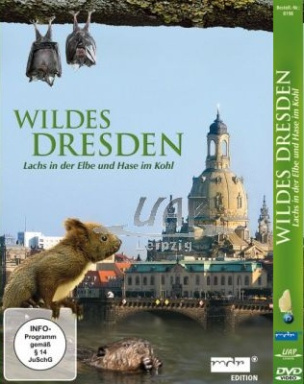 Wildes Dresden