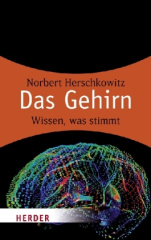 Das Gehirn