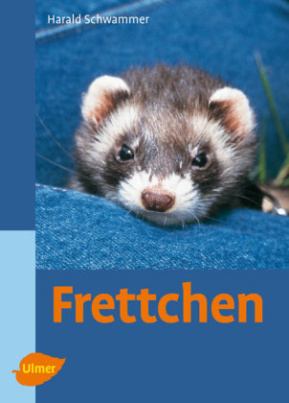 Frettchen