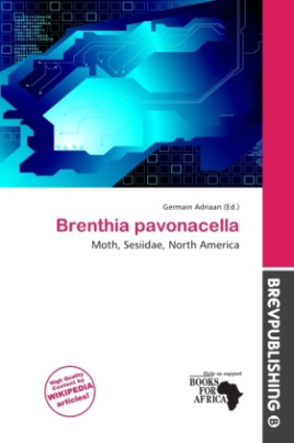 Brenthia pavonacella
