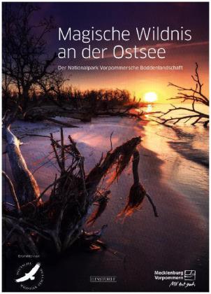 Magische Wildnis an der Ostsee