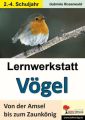 Lernwerkstatt Vögel