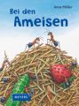 Bei den Ameisen