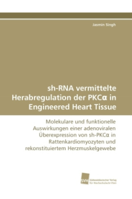 sh-RNA vermittelte Herabregulation der PKC  in Engineered Heart Tissue