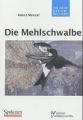 Die Mehlschwalbe