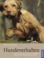 Hundeverhalten