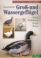 Groß- und Wassergeflügel