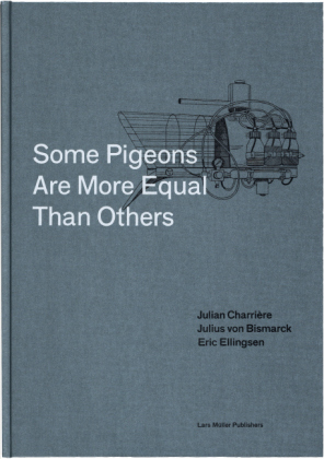 Some Pigeons Are More Equal Than Others