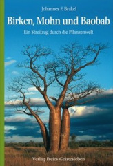 Birken, Mohn und Baobab