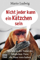 Nicht jeder kann ein Kätzchen sein