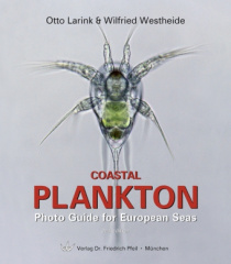 Coastal Plankton