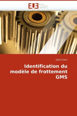 Identification du modèle de frottement GMS
