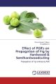 Effect of PGR's on Propagation of Fig by Hardwood & Semihardwoodcuting