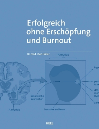 Erfolgreich ohne Erschöpfung und Burnout