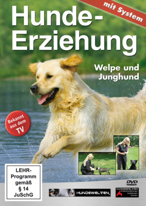 Hundeerziehung mit System - Welpe und Junghund 