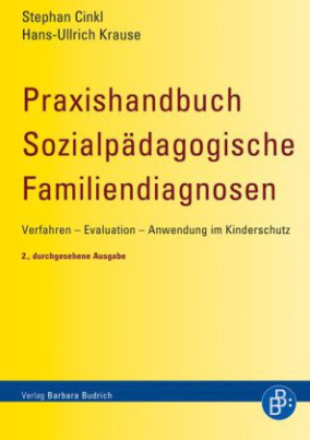 Praxishandbuch Sozialpädagogische Familiendiagnosen