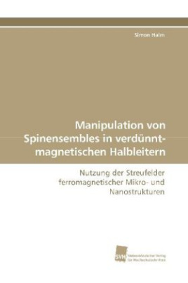 Manipulation von Spinensembles in verdünnt-magnetischen Halbleitern