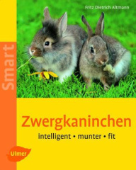 Zwergkaninchen