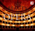 The Beauty of Opera 