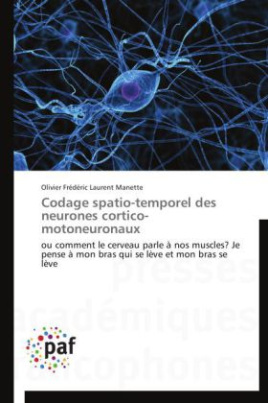 Codage spatio-temporel des neurones cortico-motoneuronaux