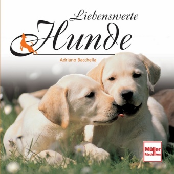 Liebenswerte Hunde