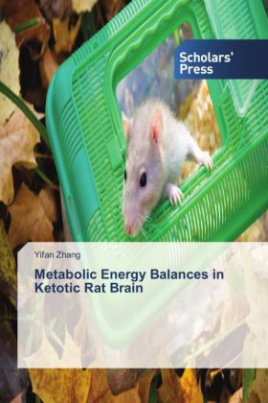 Metabolic Energy Balances in Ketotic Rat Brain