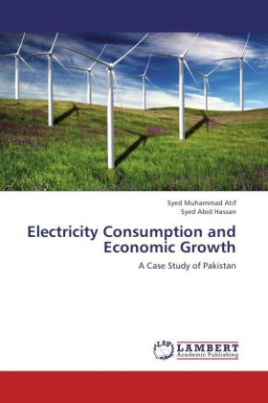 Electricity Consumption and Economic Growth