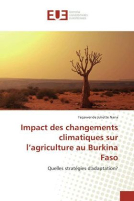 Impact des changements climatiques sur l'agriculture au Burkina Faso