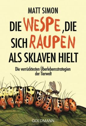 Die Wespe, die sich Raupen als Sklaven hielt