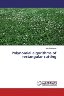 Polynomial algorithms of rectangular cutting