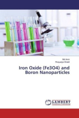 Iron Oxide (Fe3O4) and Boron Nanoparticles