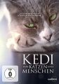 Kedi - Von Katzen und Menschen