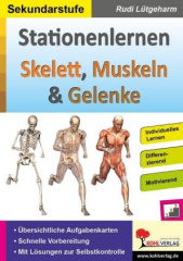 Stationenlernen Skelette, Muskeln & Gelenke