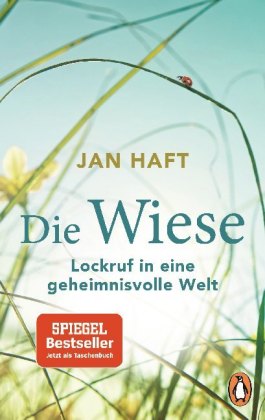 Die Wiese