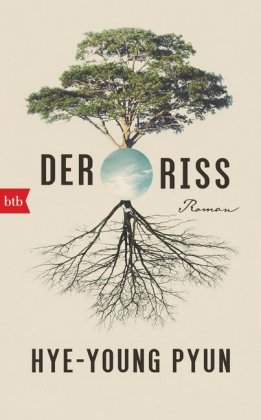 Der Riss