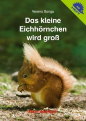 Das kleine Eichhörnchen wird groß