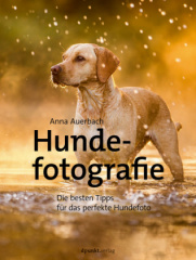 Hundefotografie