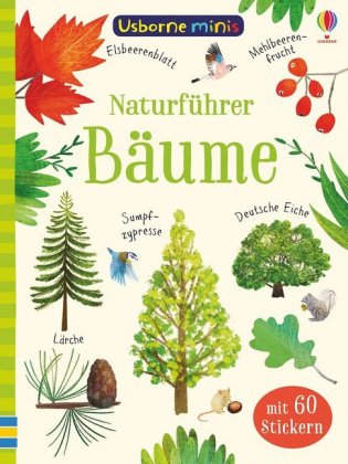 Naturführer: Bäume