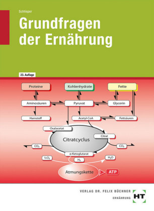 Grundfragen der Ernährung