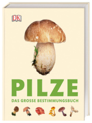 Pilze