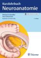 Kurzlehrbuch Neuroanatomie