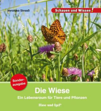 Die Wiese