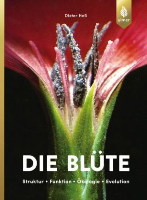 Die Blüte