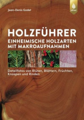 Holzführer