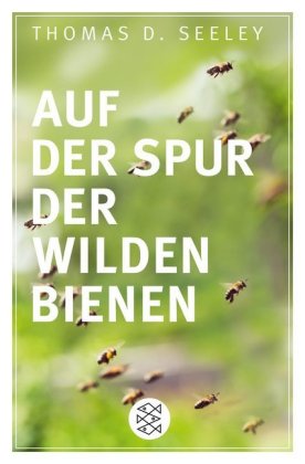 Auf der Spur der wilden Bienen